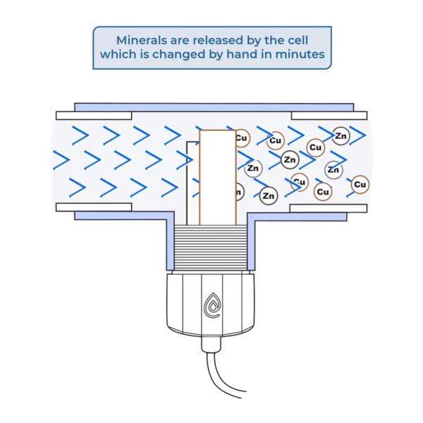 ClearBlue releases minerals from the cell.